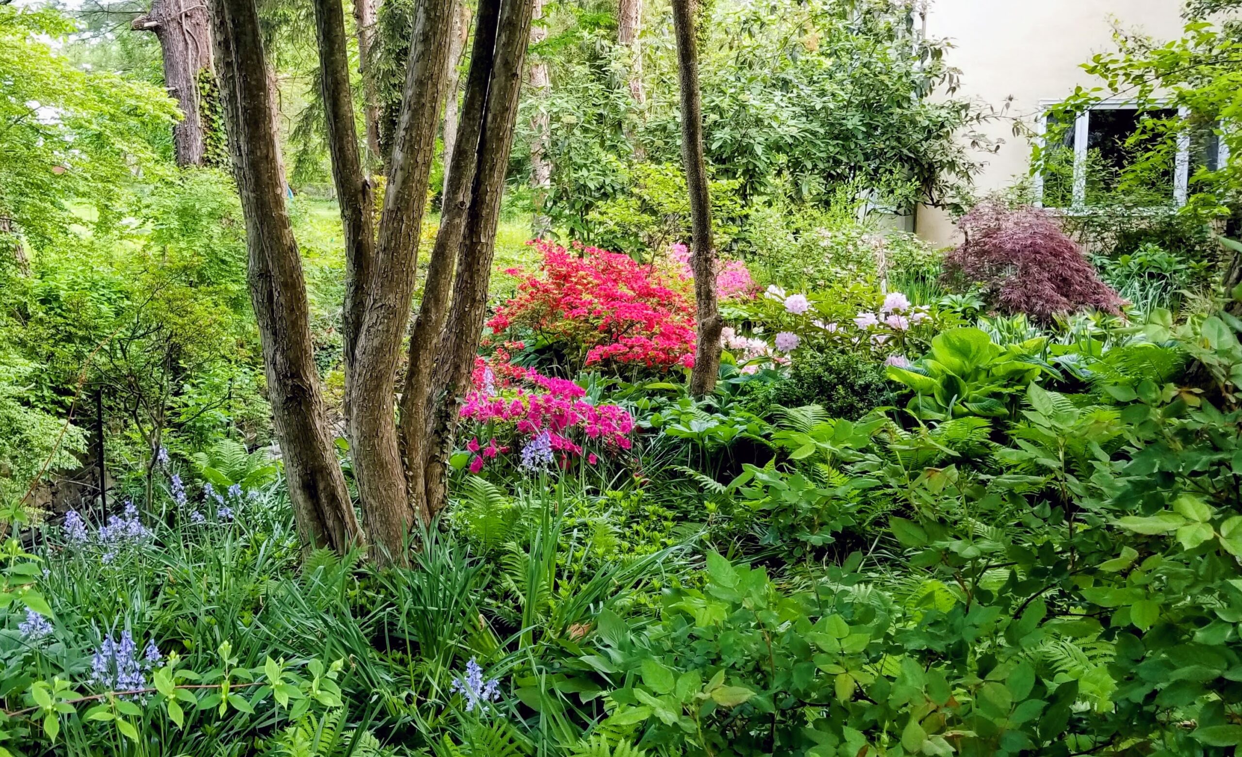 20210512_062753-EDIT